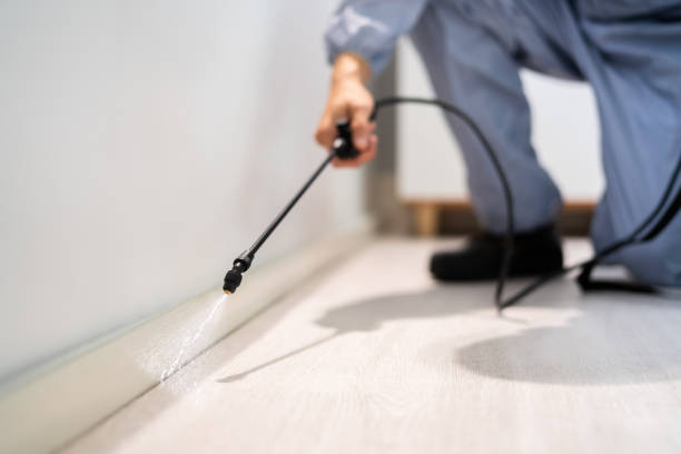 Licensed Termite Control service in Minot AFB, ND - Show Me Pest Control